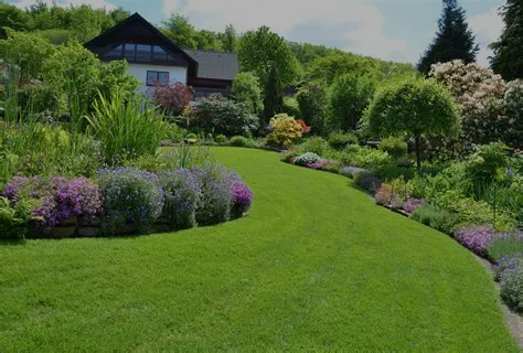 Prime Landscaping